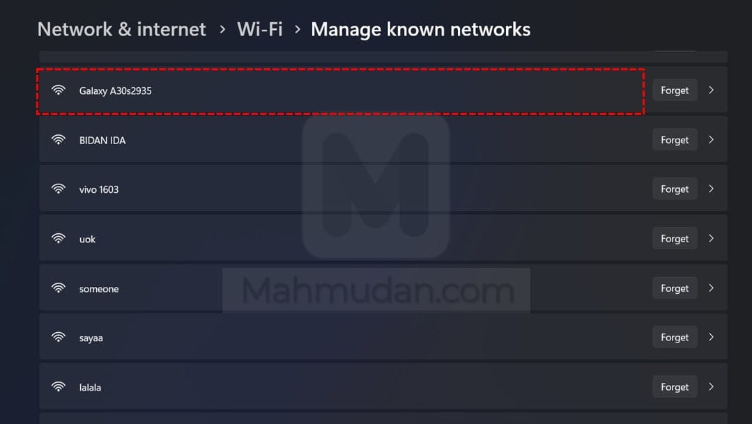 Viewing WiFi Passwords in Windows 11 - 5 Steps without CMD 6 pilh wifi