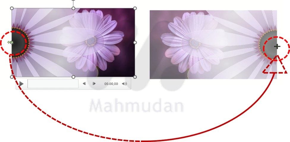 2 How to Flip an Image or Video in PowerPoint 4 cara cepat membalik gambar /video di powerpoint