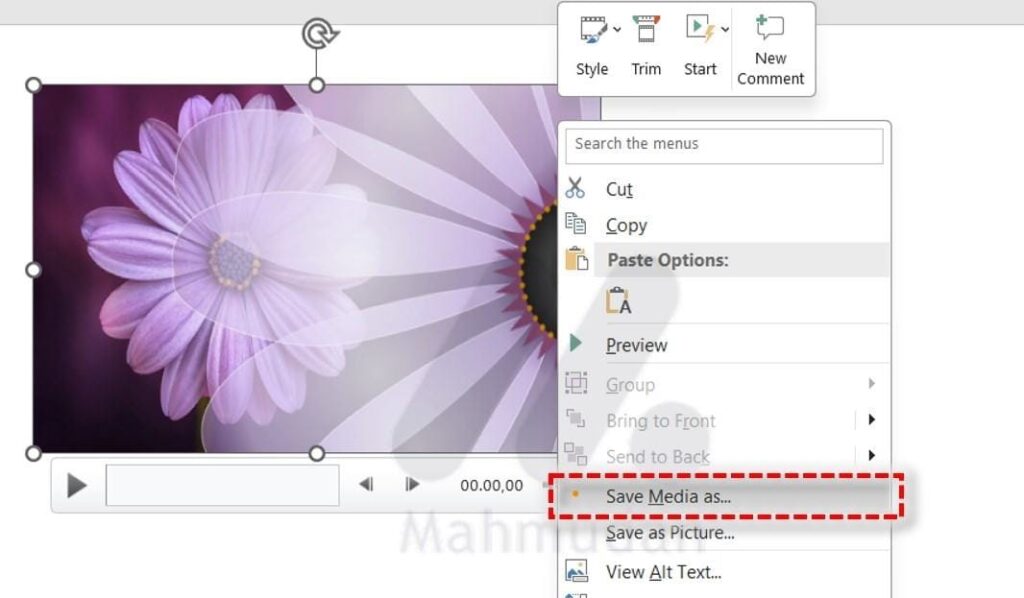 2 How to Flip an Image or Video in PowerPoint 5 membalik video di PowerPoint