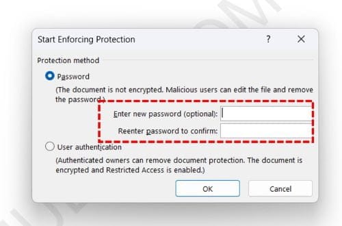How to prevent Word documents from being edited - 3 Steps 4 input password dokumen